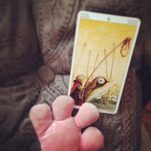 padmes card of the day 6 of wands