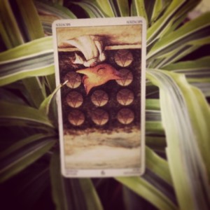 padmes card of the day 9 of pentacles reversed