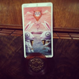padmes card of the day 2 of cups