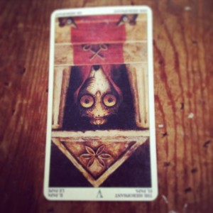 padmes card of the day the hierophant reversed