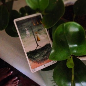 Padmes Card of the Day 4 of Cups reversed