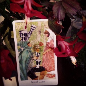 padmes card of the day 6 of cups